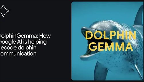 DolphinGemma: Как ИИ Google помогает расшифровать общение дельфинов